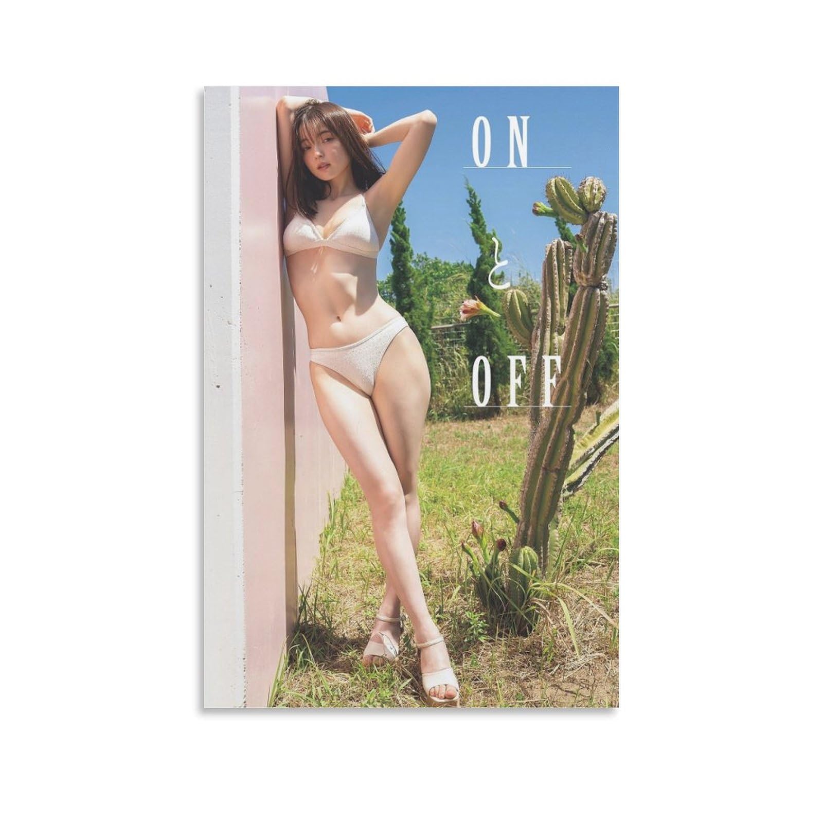 Amazon.co.jp: 坂巻有紗 水着 写真 ポスター ホーム装飾 アートパネル